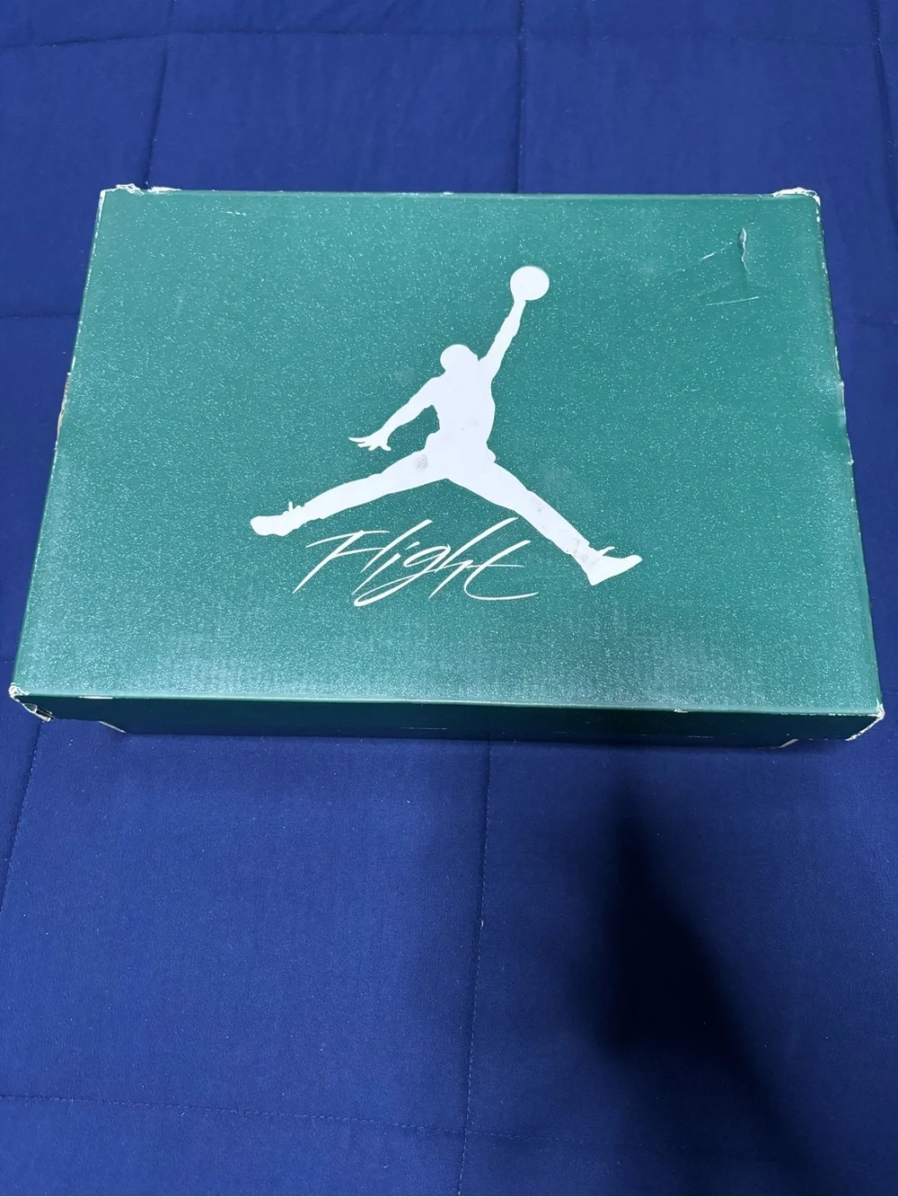 Jordan 4 Retro Oxidized Green 2024 Size 14